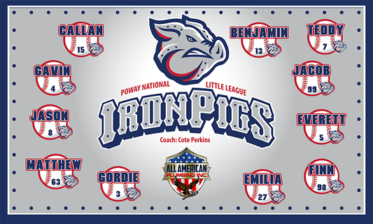 Iron Pigs Rookies Minor League Banner