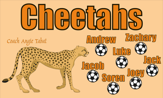 Cheetahs