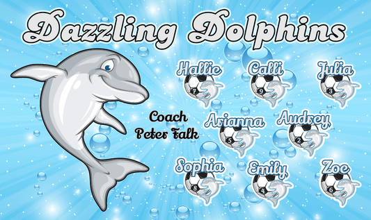 Dazzling Dolphins 3