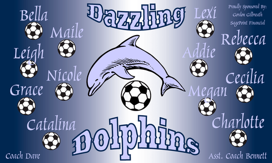 Dazzling Dolphins 2