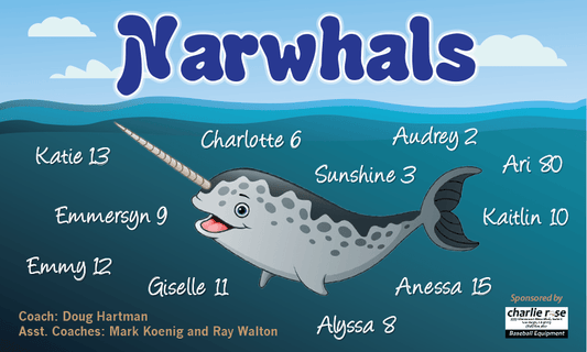 Narwhals Banner