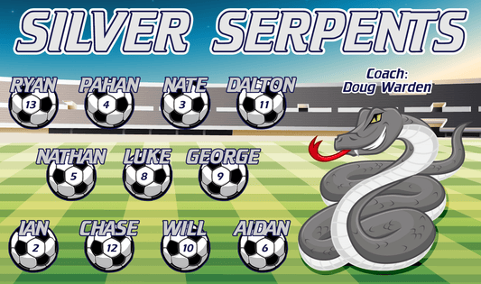 Silver Serpents